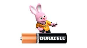 Duracell Chota Power AAA Alkaline Batteries, Pack of 10 - Royal Technologies :::::  genuinebattery.com